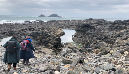 Tidal Pools: A Safe Haven for Wild Swimmers