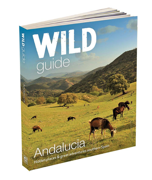 Wild Guide Andalucia - southern Spain